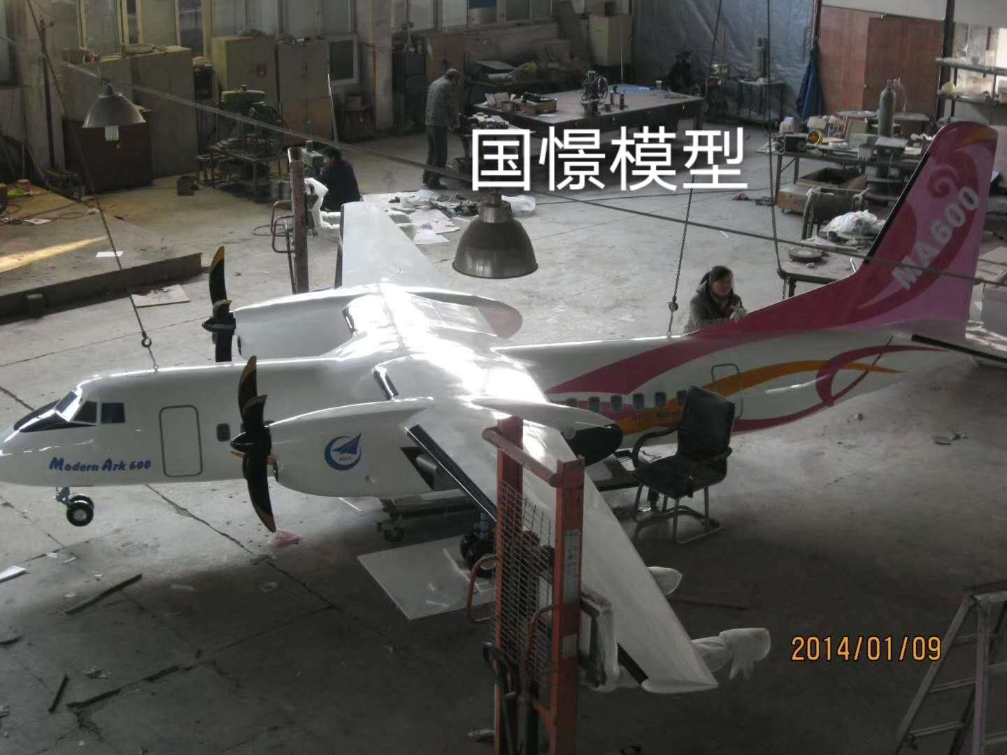 临海县飞机模型