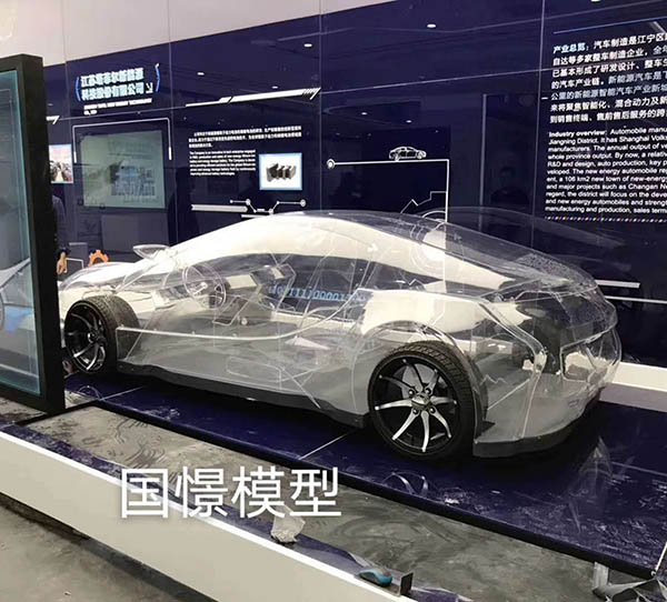 临海县透明车模型